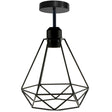 Industrial Vintage Ceiling Light Modern Style Cage Fitting Flush Mount Lights~4068-0