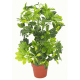 75cm Artificial Arboricola Gold Capella Plant - Silver Metal Planter-1