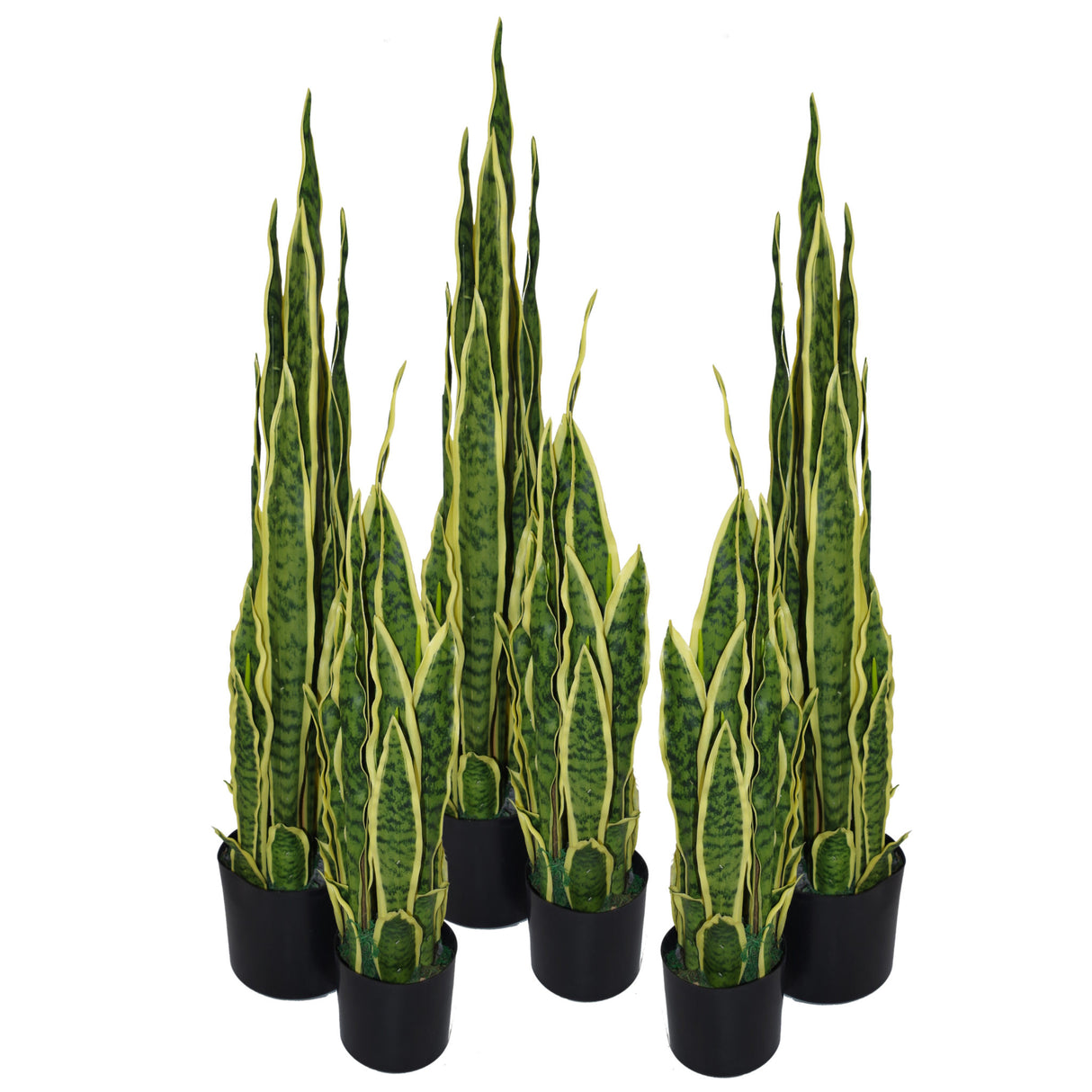 90cm (3ft) Artificial Sansevieria Yellow Green Indoor Plant - Large-1