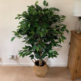 90cm Artificial Ficus Tree / Plant - Silver Metal Planter-2