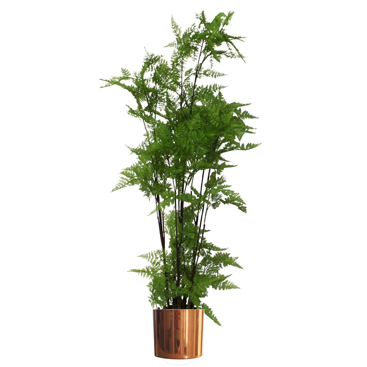 150cm Artificial Natural Moss Base Fern Foliage Plant with Copper Metal Plater-0