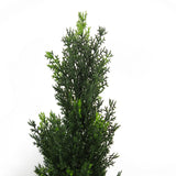 90cm Pair of Artificial Cedar Cypress Topiary UV Resistant-1