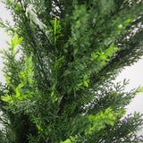 120cm Pair of Artificial Cedar Cypress Topiary UV Resistant-2