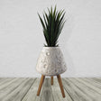 Moon White Planter with Stand-0