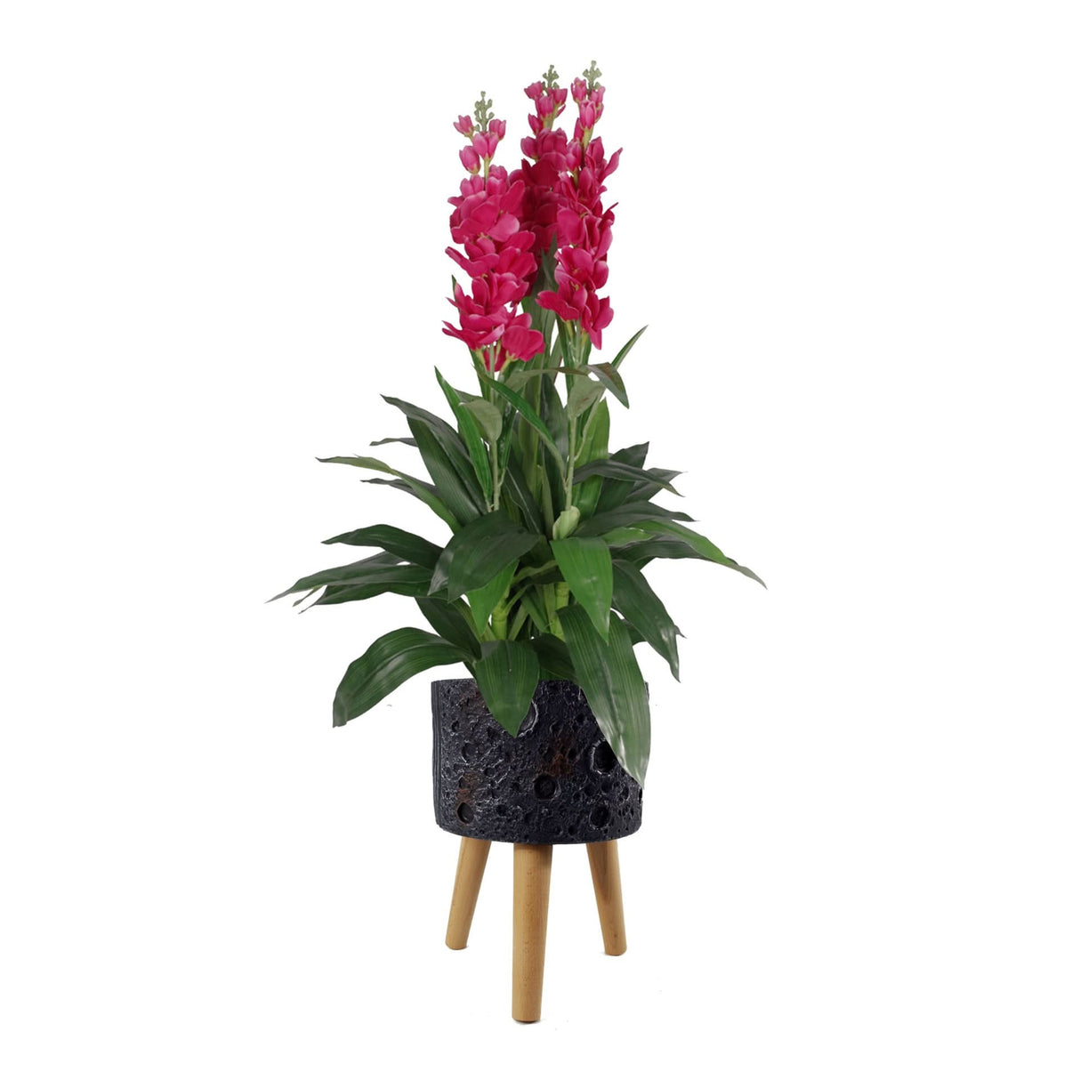 Moon Black Planter with Stand-2