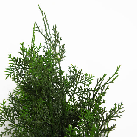 90cm Pair of Artificial Cypress Topiary Trees-1