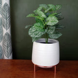 White Ceramic Planter Metal Stand Plant Pot-2