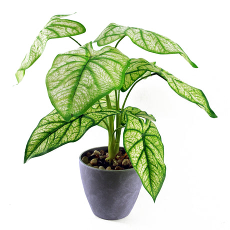 40cm Artificial Taro in Decorative Planter-0