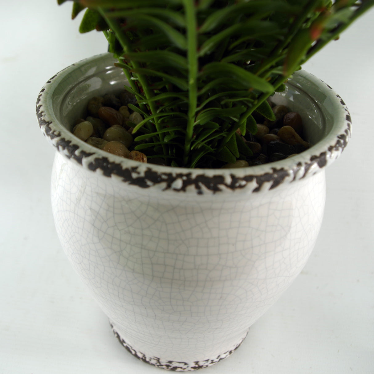 40cm Artificial Fern Bush in Decorative Planter-5