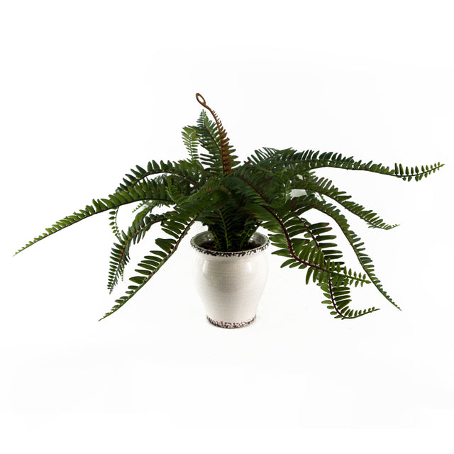 40cm Artificial Fern Bush in Decorative Planter-0