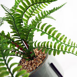 40cm Artificial Fern with Ceramic Planter & Stand-1