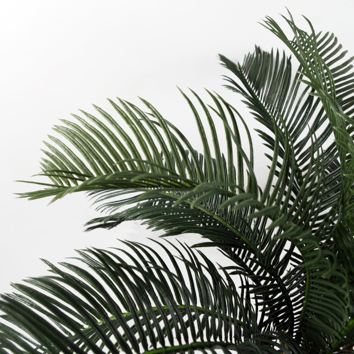 60cm Artificial Tropical Cycas Palm Plant-1