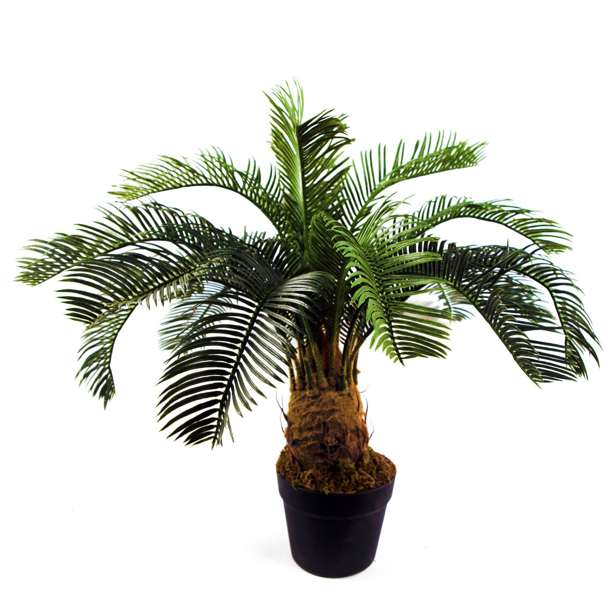 60cm Artificial Tropical Cycas Palm Plant-0