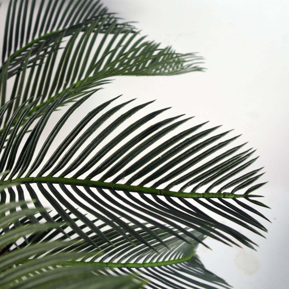 80cm Artificial Tropical Cycas Palm Plant-2