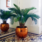 80cm Cycas Palm Plant Artificial Tropical Tree-0