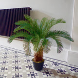 80cm Cycas Palm Plant Artificial Tropical Tree-1