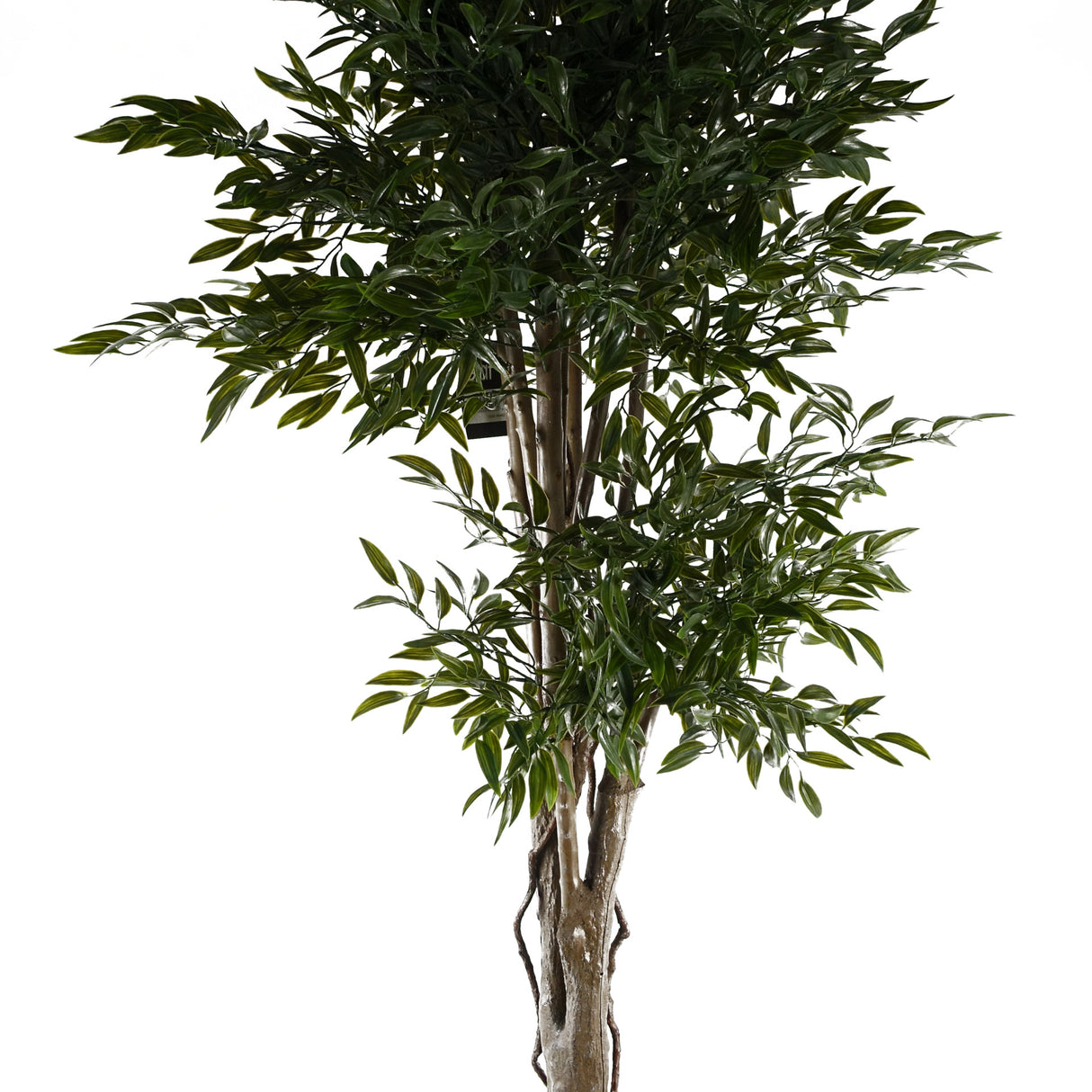 140cm UV Resistant Ruscus Tree- 2716 leaves-3