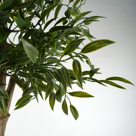 140cm UV Resistant Ruscus Tree- 2716 leaves-1