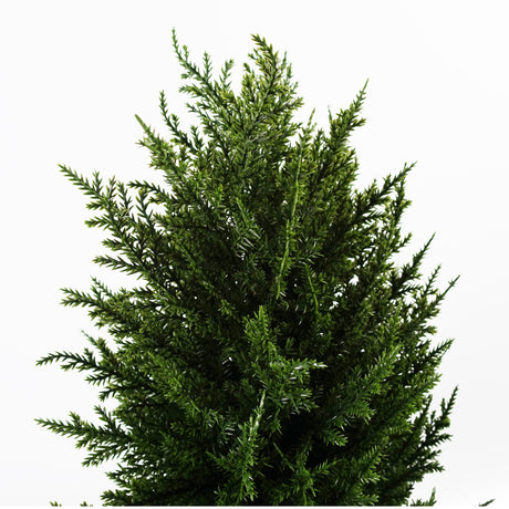 120cm Pair of Spiral Cypress Artificial Tree UV Resistant Outdoor-1