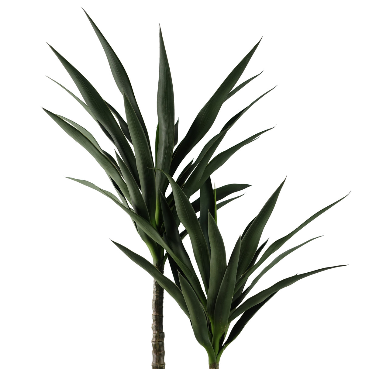 120cm Yucca Tree UV Resistant Outdoor-2