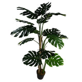 150cm (5ft) Luxury Monstera Plant Black Pot-1