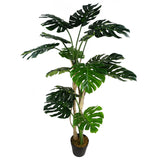 150cm (5ft) Luxury Monstera Plant Black Pot-0