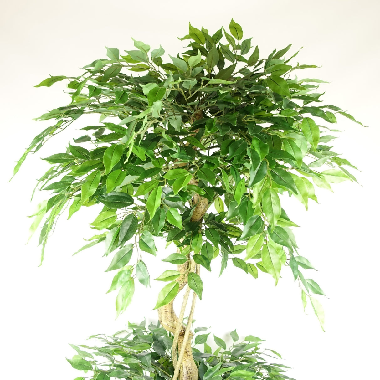 180cm Artificial Twisted Trunk Fruticosa Ficus Tree Triple Ball Topiary 1984 Leaves-1