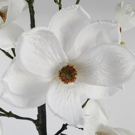 140cm Magnolia Artificial Tree White Potted-1