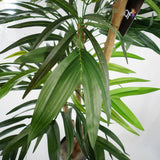 140cm UV Resistant Artificial Mango Leaf Tree-1