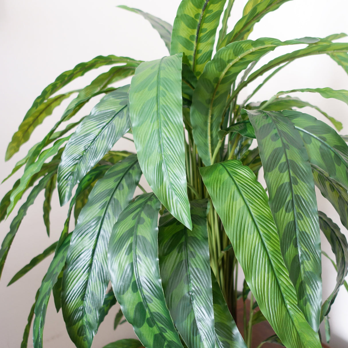 90cm Variegated Artificial Calathea Plant-1