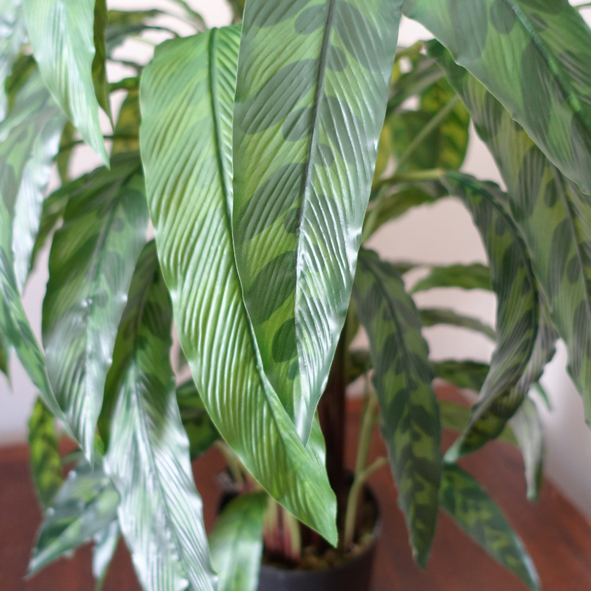 90cm Variegated Artificial Calathea Plant-2