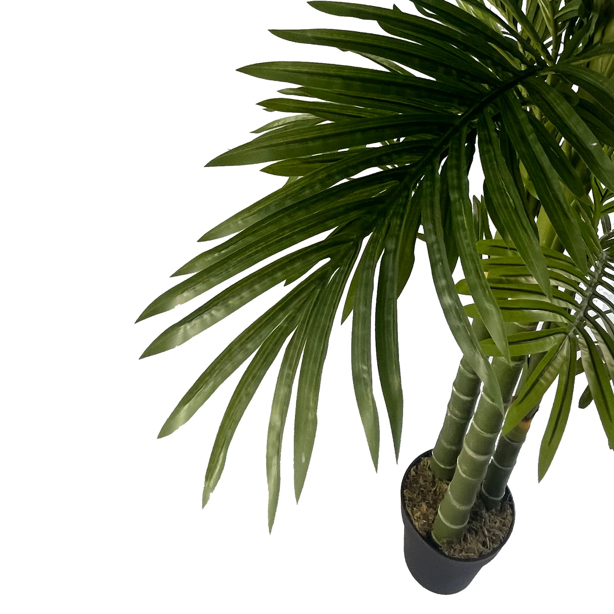 180cm Artificial Tropical Palm Tree-2