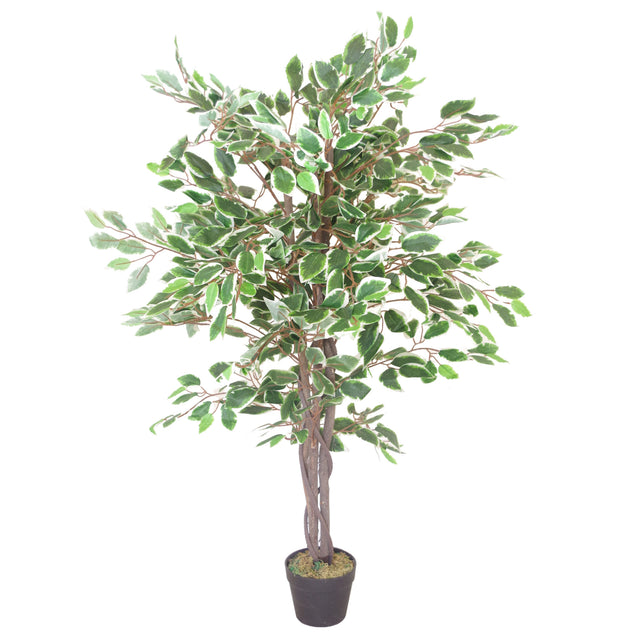 130cm LARGE Realistic White Edge Ficus Artificial Plant Tree-0