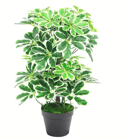 55cm Variegated Artificial Schefflera Arboricola Plant-0