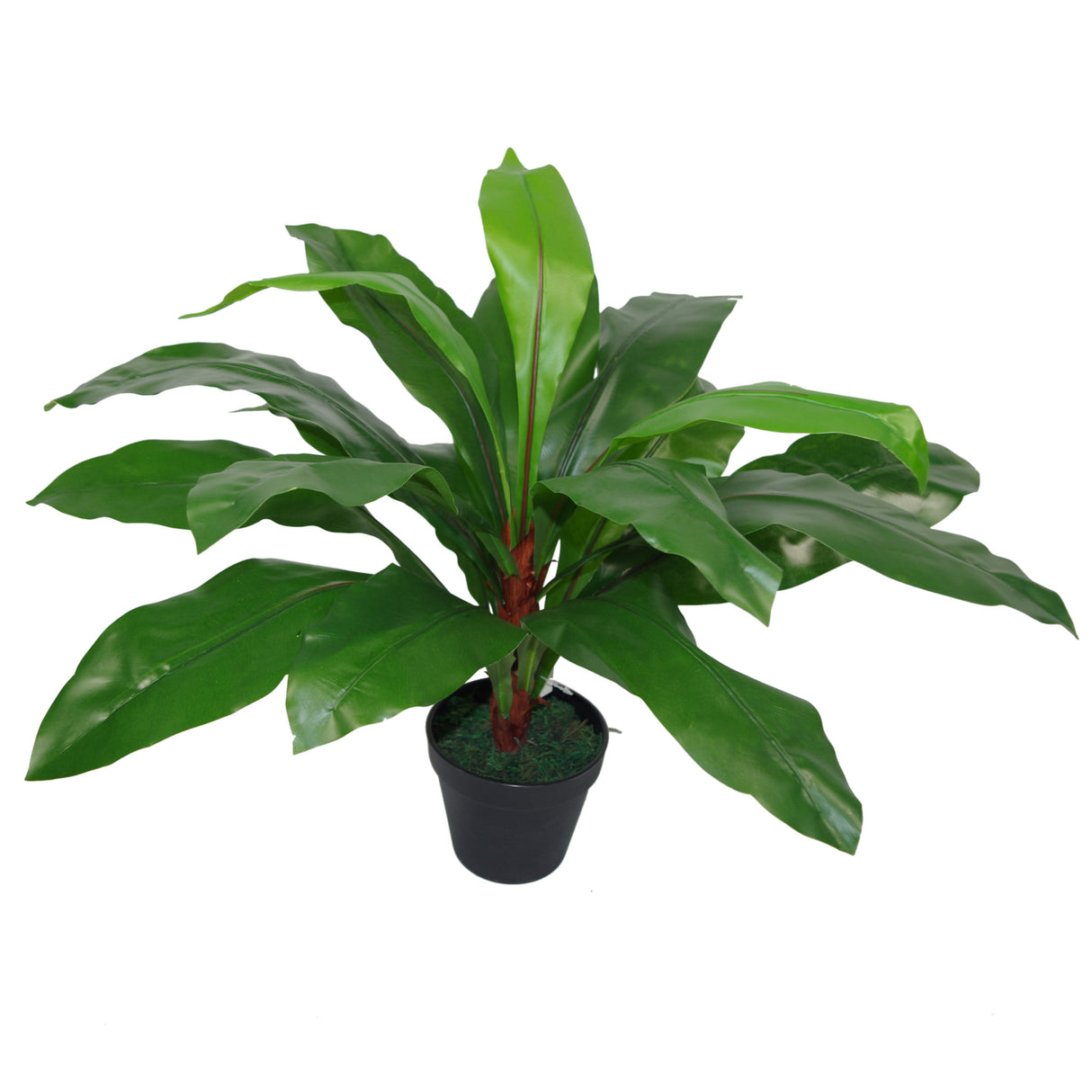 60cm Bushy Large Artificial Bird's Nest Fern Plant-2