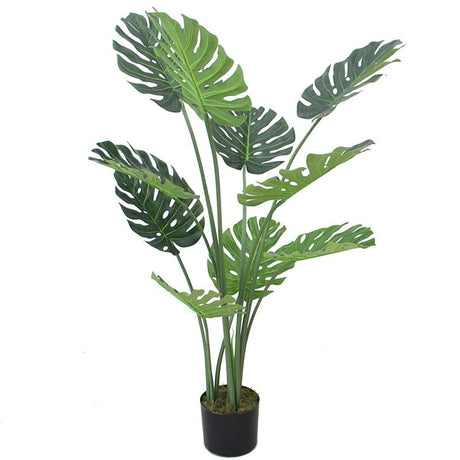 120cm (4ft) Luxury Monstera Plant Black Pot-1