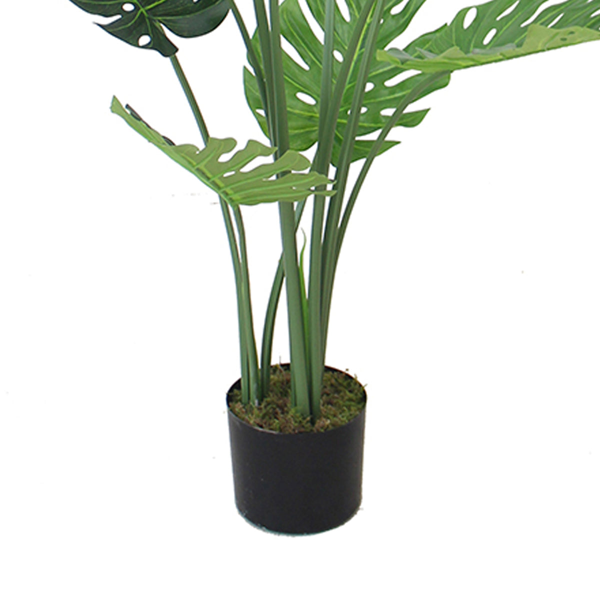 120cm (4ft) Luxury Monstera Plant Black Pot-2