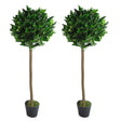 Pair of 120cm (4ft) Plain Stem Artificial Topiary Bay Laurel Ball Trees-0