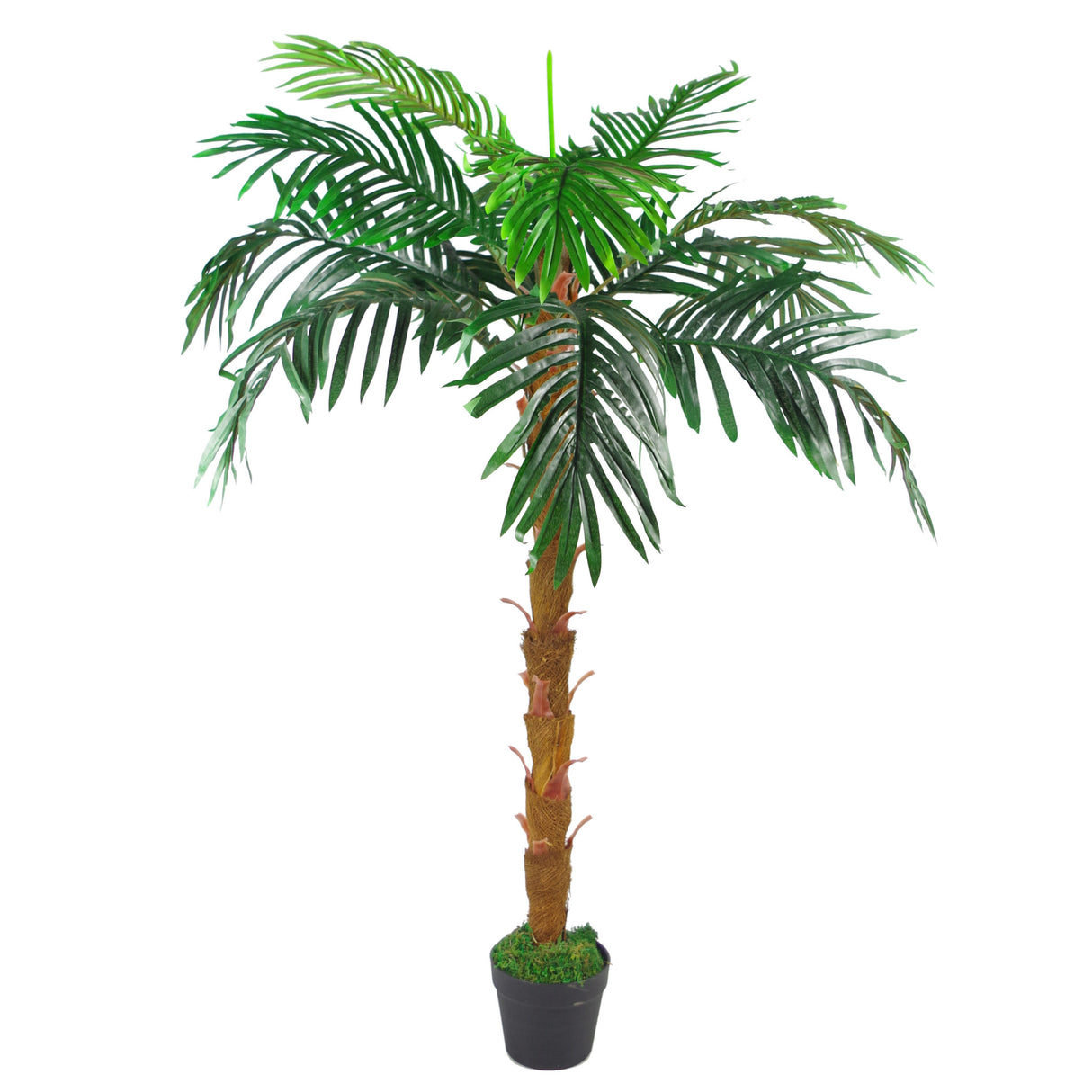 130cm Artificial Princess Palm Tree Natural Trunk-0