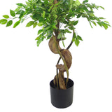 150cm Twisted Trunk Artificial Japanese Fruticosa Ficus Tree Black Planter-1