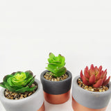 14cm Set of Three Stoneware Mini Copper Band Planters with Artificial Succulent Plants-3