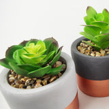 14cm Set of Three Stoneware Mini Copper Band Planters with Artificial Succulent Plants-1