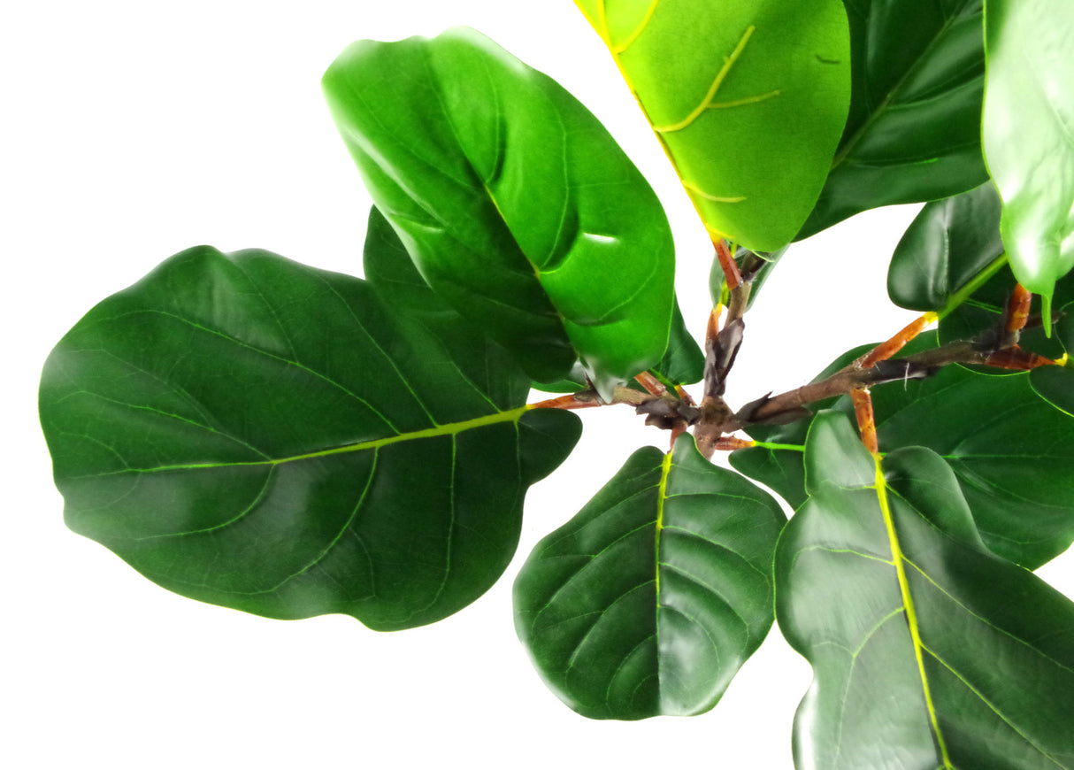 60cm Artificial Fiddle Fig Plant-1