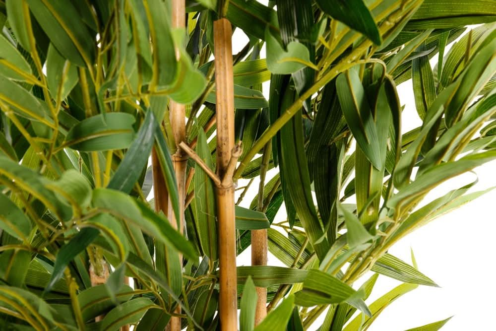 Artificial 6ft Bamboo Tree