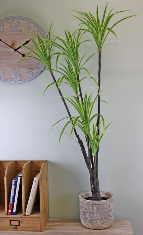 Artificial Dracaena Marginata tree, 120cm