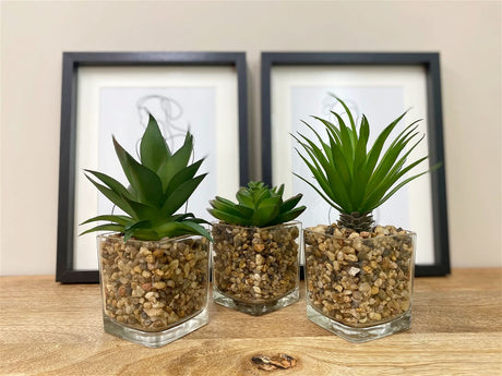 Set Of Three Faux Succulents In Glass Pots