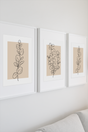 Neutral Botanical Eucalyptus Line Art Set Of 3 Or Single Home Wall Decor Prints - Neutral Wall Art - Prints - Line Art - Beige Decor-0