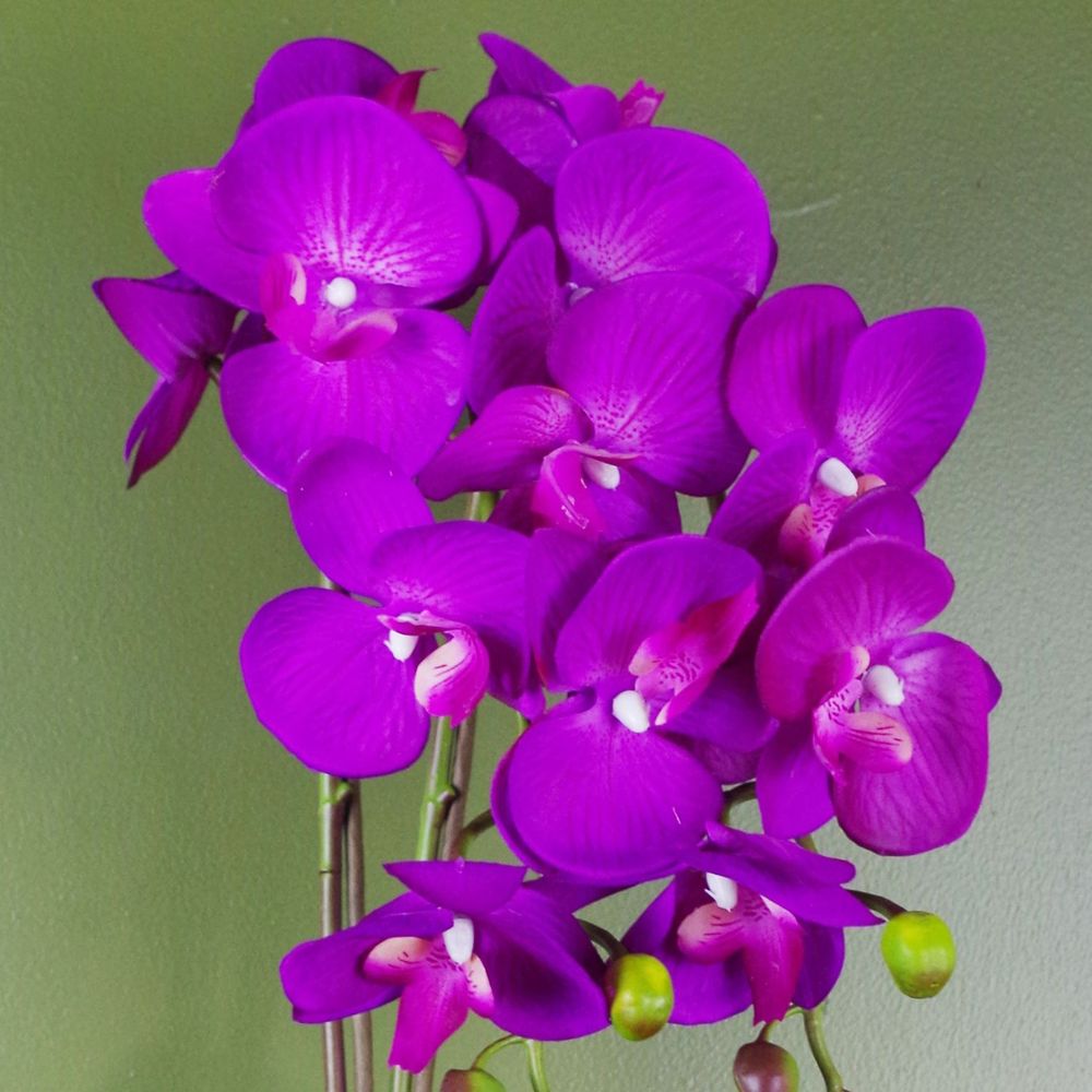 52cm Artificial Orchid Large - Purple / Gold