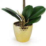 50cm Phalaenopsis Orchid Artificial - Purple / White - Gold Pot