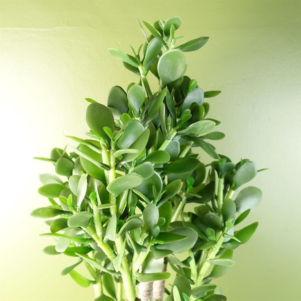 Artificial Deluxe 75cm Green Jade Plant